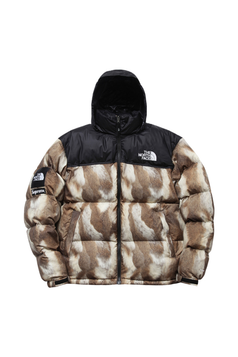 supreme-x-the-north-face-2013-fallwinter-collection-4