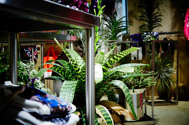 floral-shop-amkk-by-the-pool-aoyama-5