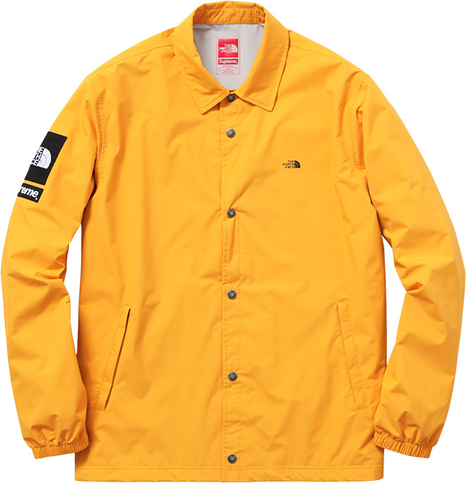 supreme-x-the-north-face-15ss-19