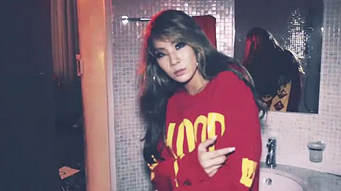 EXO-kpop-HBA-pants-2NE1-CL-Hoodie-Sweatshirts-Do-You-Love-Me-MV-Hood-By-Air
