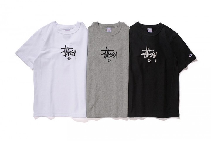 champion-stussy-reverse-collection-11
