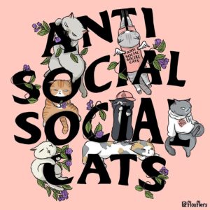 222貓之日這一天，運動潮流品牌 LOGO 全被喵星人「入侵」啦！貓奴直呼：「太欠買了～」