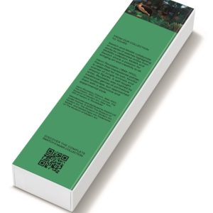 平價入手天價絕美藝術品！ MoMA X Swatch 2021 全新聯乘系列重磅來襲！　網：梵谷《星夜》美爆！