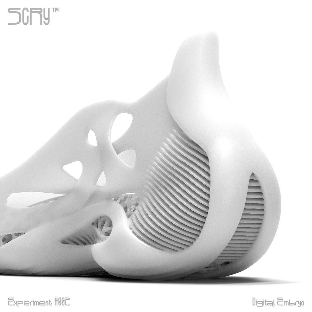 潮流社論｜顛覆傳統球鞋設計－專訪創新實驗品牌 SCRY：「這市場應該出現真正不一樣的東西了」