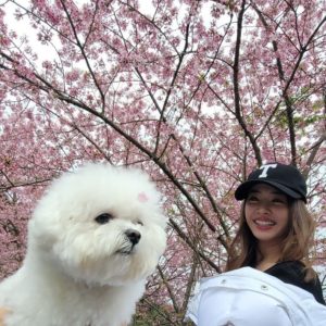 2021好好玩台灣｜跟著呸姐 Jolin 腳步踩點去：海景咖啡、櫻花吹雪、台版普羅旺斯