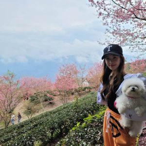 2021好好玩台灣｜跟著呸姐 Jolin 腳步踩點去：海景咖啡、櫻花吹雪、台版普羅旺斯
