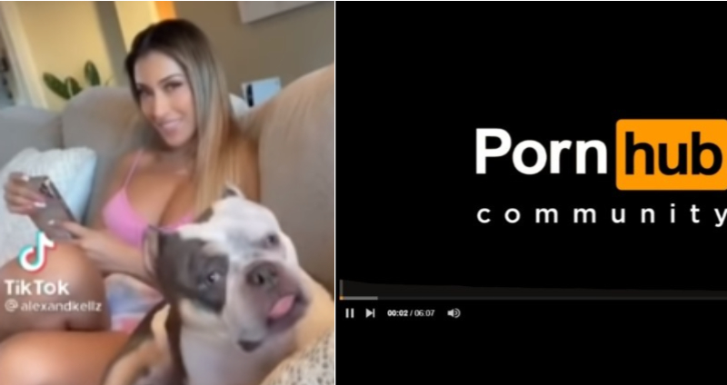 AV 網 Pornhub 開頭音樂太神啦，不止男女老幼，連狗都聽到勃了！