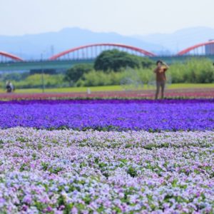 2021好好玩台灣｜跟著呸姐 Jolin 腳步踩點去：海景咖啡、櫻花吹雪、台版普羅旺斯