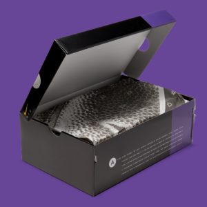 台灣販售預告｜詹皇「鴛鴦紫金」配色你擋得住？霸氣外露的 Nike Air Max 95 「 LeBron 」 即將開賣！