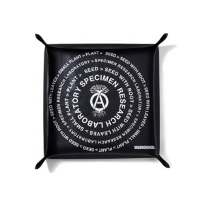 塊根迷潮盆不求人！ INVINCIBLE 攜手 NEIGHBORHOOD “SRL” 打造「多肉及塊根植物快閃店」，免飛日本原價購得！