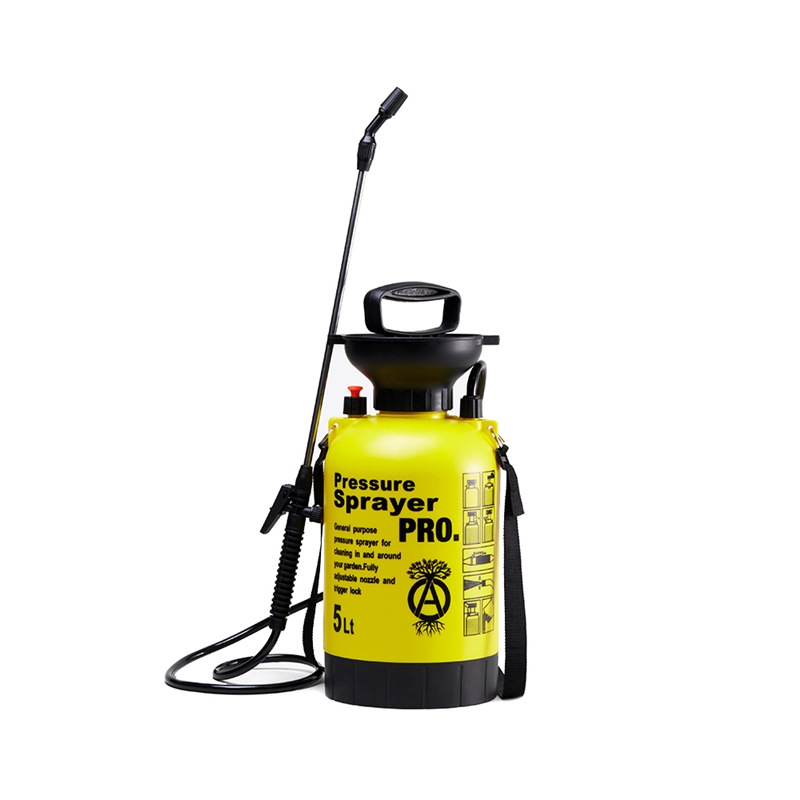 塊根迷潮盆不求人！ INVINCIBLE 攜手 NEIGHBORHOOD “SRL” 打造「多肉及塊根植物快閃店」，免飛日本原價購得！