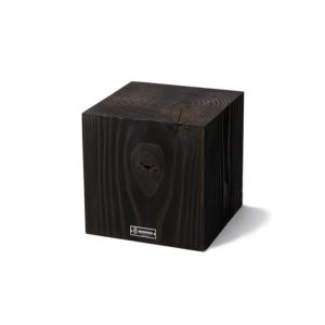 塊根迷潮盆不求人！ INVINCIBLE 攜手 NEIGHBORHOOD “SRL” 打造「多肉及塊根植物快閃店」，免飛日本原價購得！