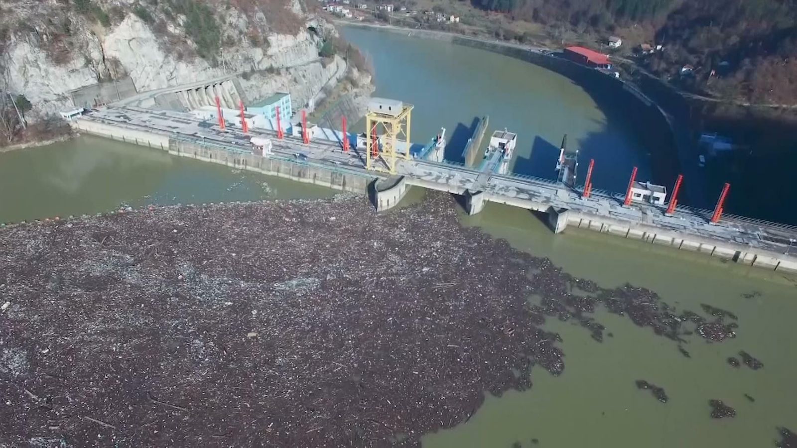 你還敢笑館長？科學家說因為地球汙染，男生的小弟弟正萎縮成「三公分」！