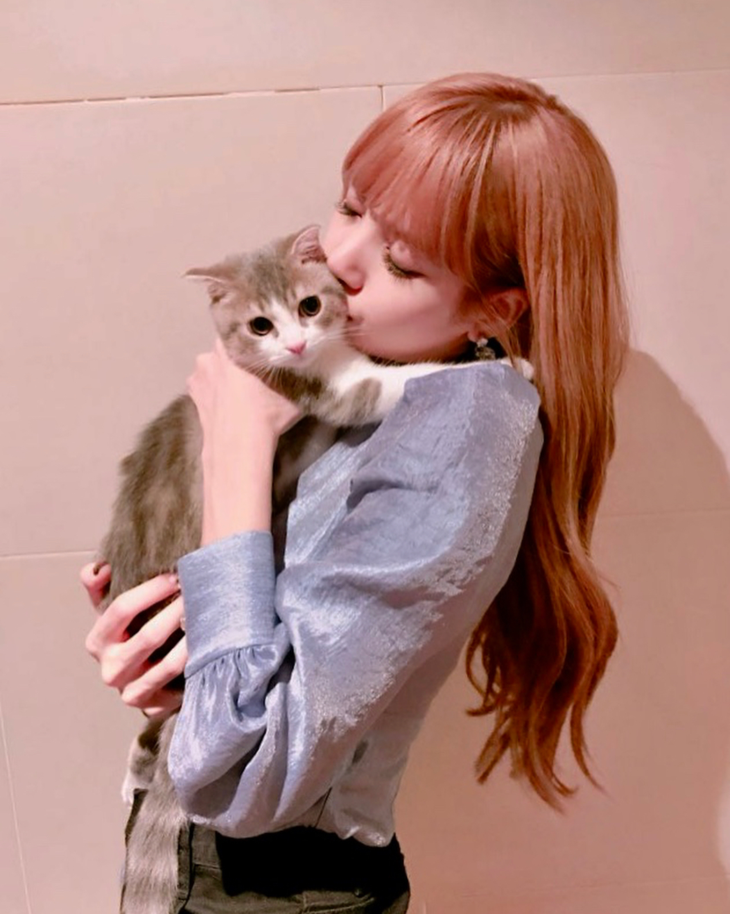 你老婆被噴！BLACKPINK Lisa「只養品種毛小孩」，眾怒發飆喊奶酪：「行為不對」