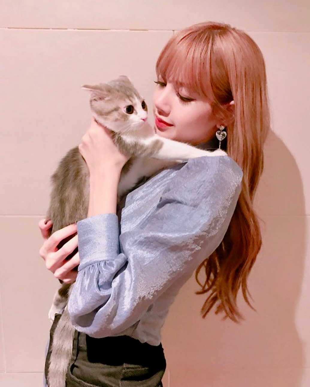 你老婆被噴！BLACKPINK Lisa「只養品種毛小孩」，眾怒發飆喊奶酪：「行為不對」