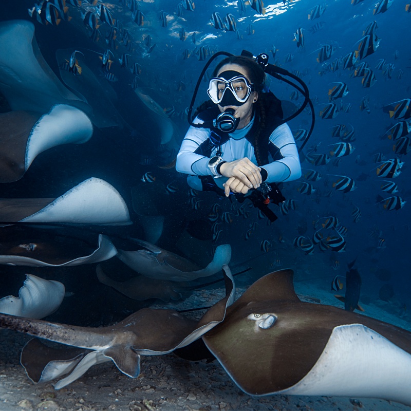 地表最輕巧的水陸兩棲運動腕錶！Garmin Descent Mk2S GPS 潛水電腦錶，時尚配色支援各式戶外穿搭