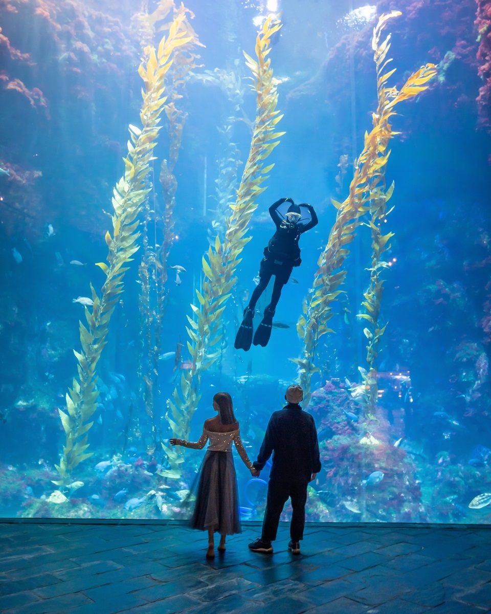 COOL潮遊｜「屏東海生館」全新打卡秘境：沉浸式互動展、夢幻海底隧道，還有網美夜宿體驗２月回歸