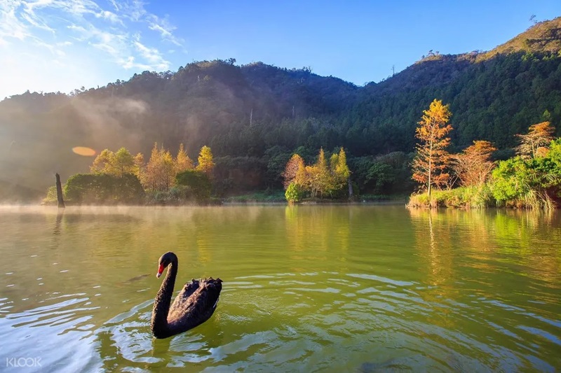 神木環繞的山林秘境推薦TOP4！2022 春潮遊，用滿滿朝氣迎接新年