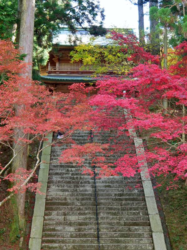 近江牛、溫泉等著你！日本關西大津市 11 大特色秘境懶人包，為了 20XX 全球解封做準備吧！