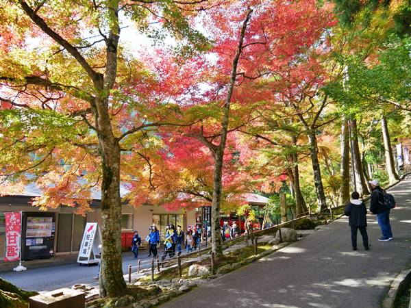 近江牛、溫泉等著你！日本關西大津市 11 大特色秘境懶人包，為了 20XX 全球解封做準備吧！