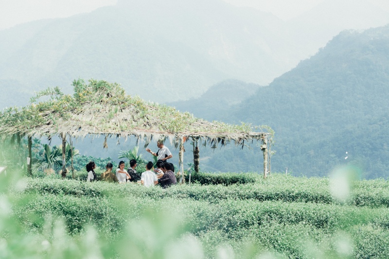 春節幫你找到新去處！山型者 WILDER 攜手多位創作者邀你來趟不一樣的阿里山之旅！