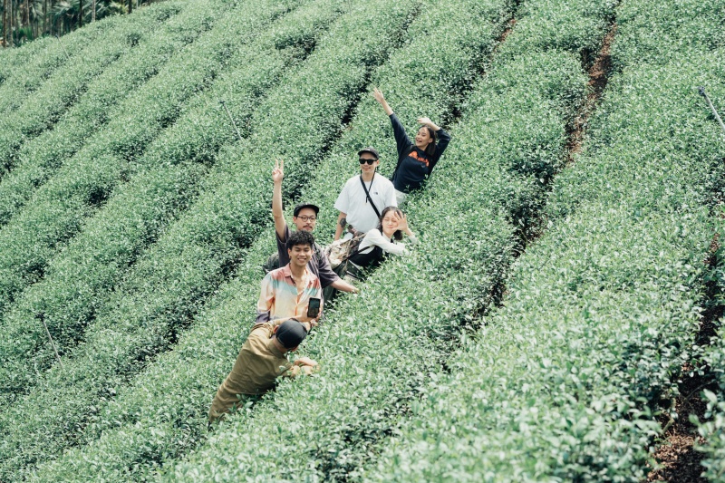 春節幫你找到新去處！山型者 WILDER 攜手多位創作者邀你來趟不一樣的阿里山之旅！