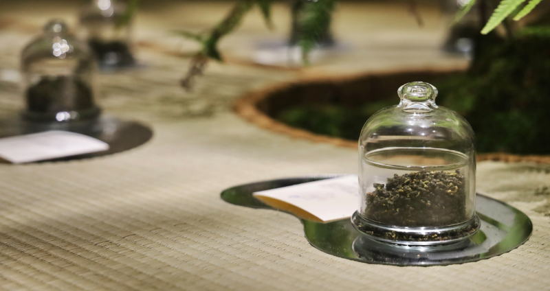 身歷其境的五感體驗！知名策展人丁春誠將推出《茶 Nature Cha》展覽企劃