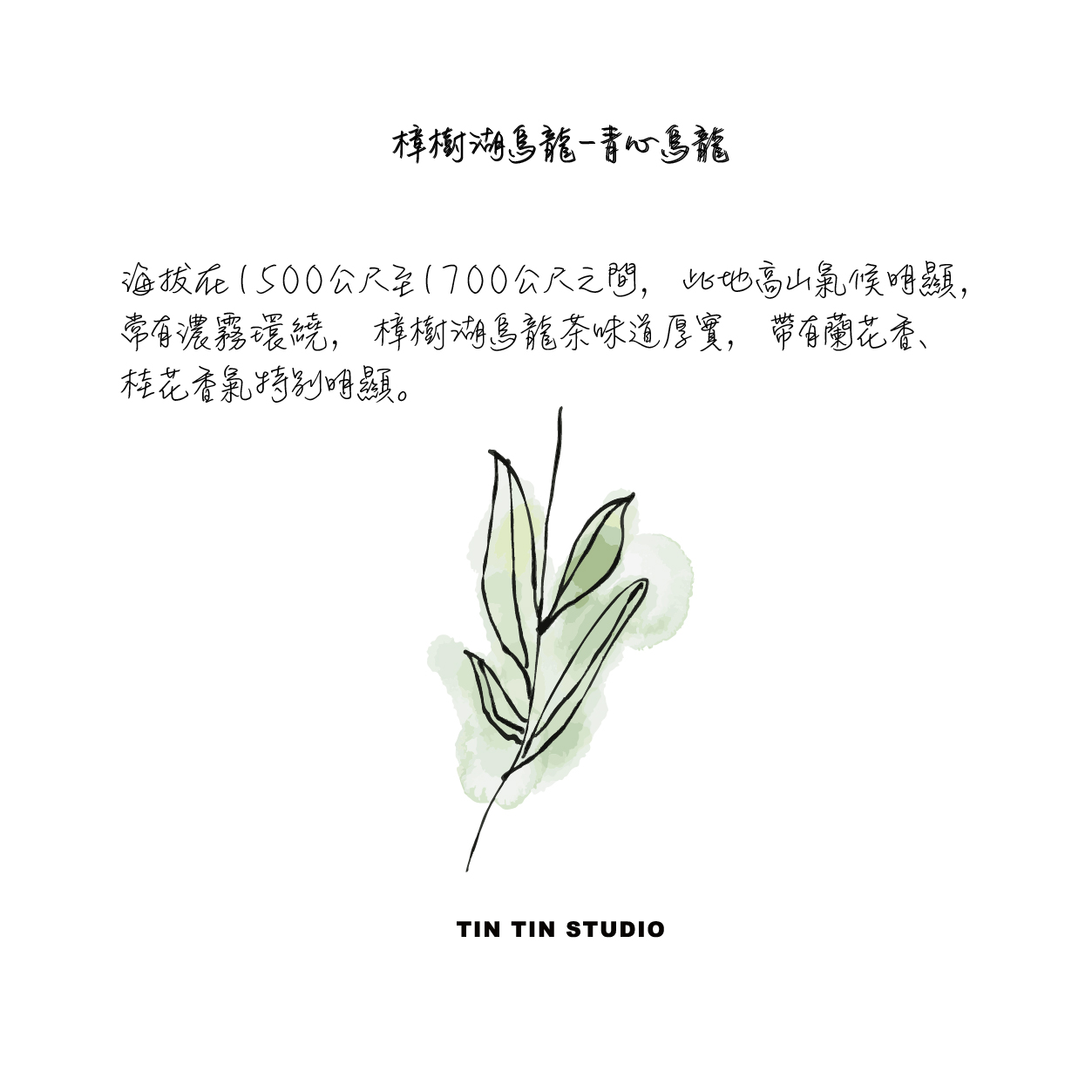身歷其境的五感體驗！知名策展人丁春誠將推出《茶 Nature Cha》展覽企劃