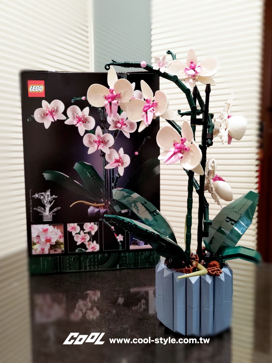 LEGO蘭花樂高盒組（LEGO 10311 Orchid）