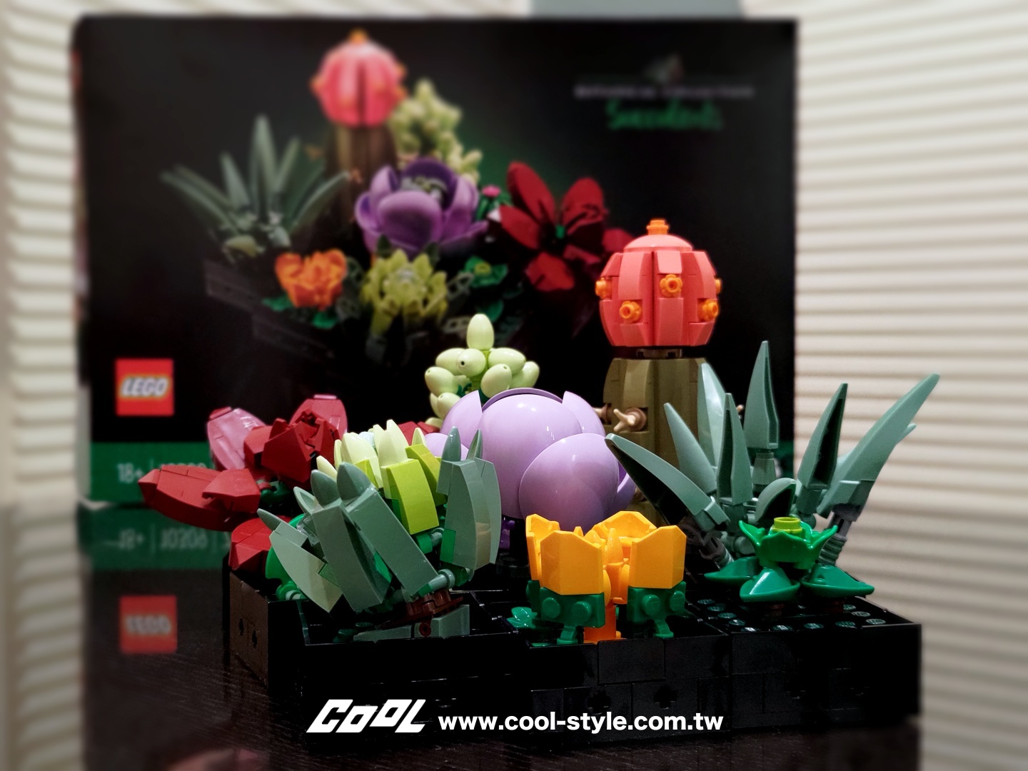 多肉植物樂高盒組（LEGO 10309 Succulents）