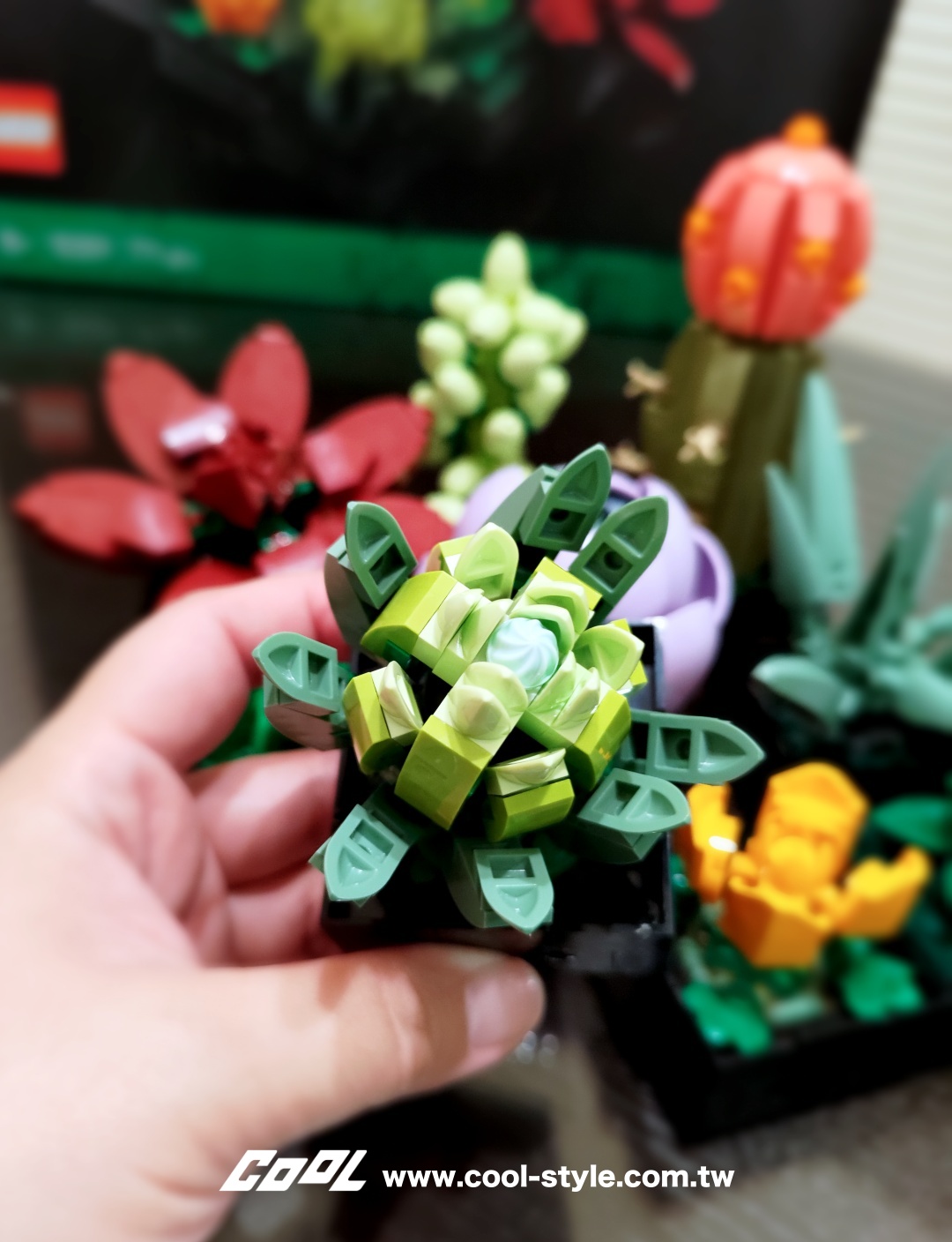 COOL開箱｜LEGO 樂高小花園加入新成員：LEGO 10309 多肉植物、LEGO 10311 蘭花 拈花惹草好療癒！#文末贈獎