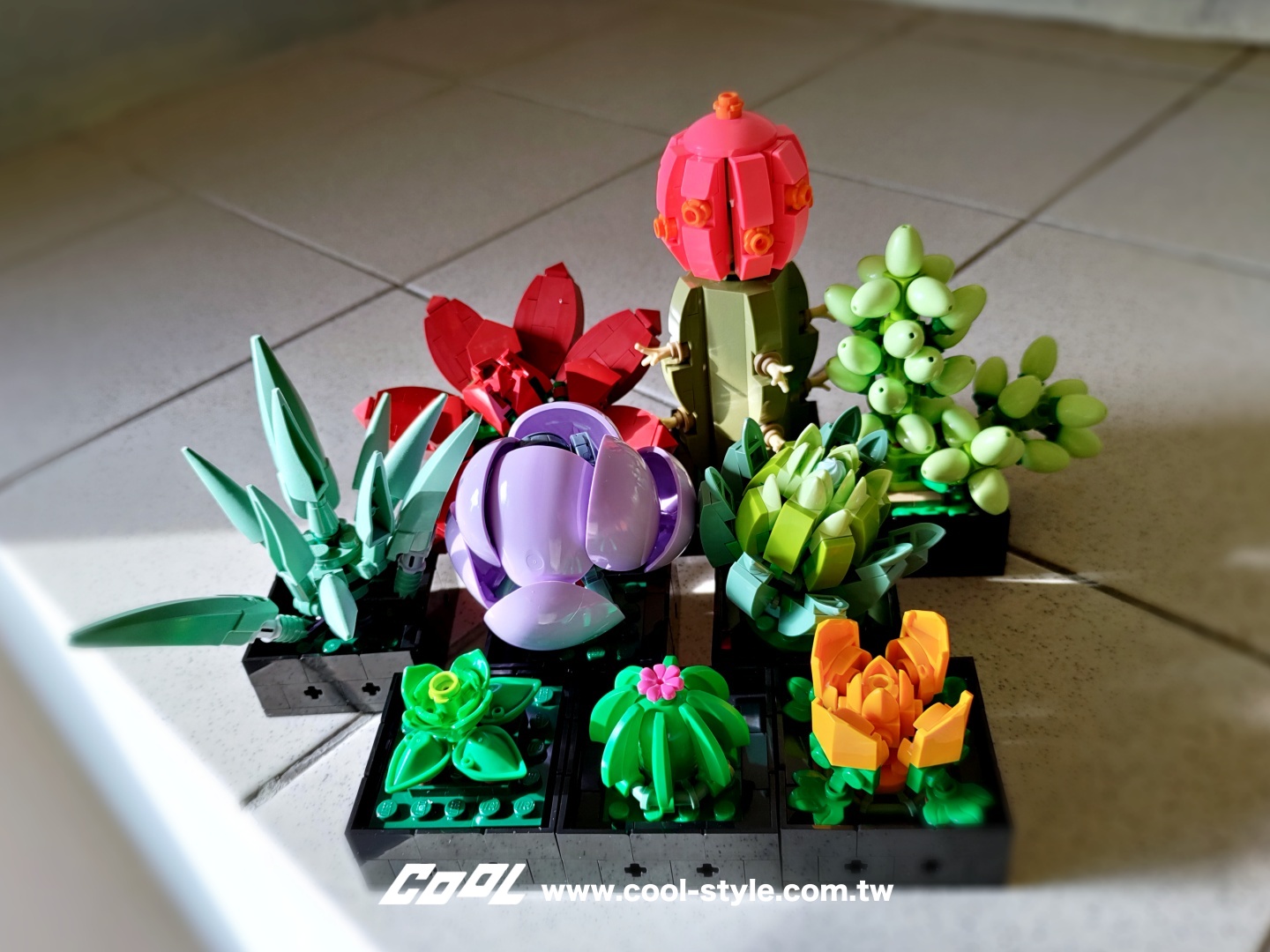 COOL開箱｜LEGO 樂高小花園加入新成員：LEGO 10309 多肉植物、LEGO 10311 蘭花 拈花惹草好療癒！#文末贈獎