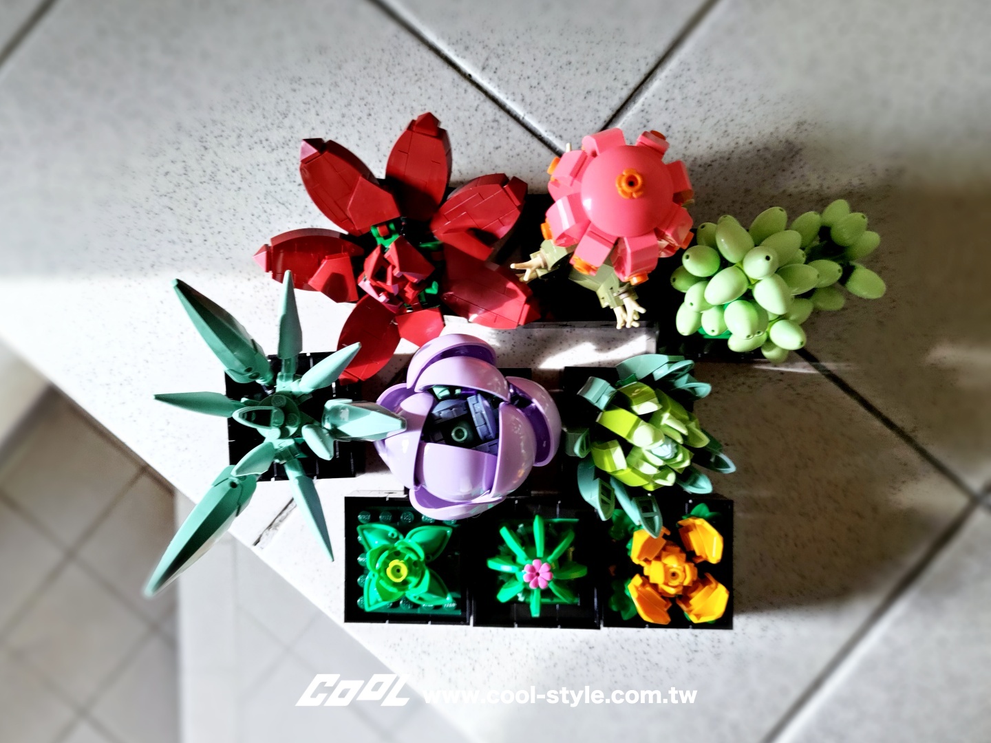 COOL開箱｜LEGO 樂高小花園加入新成員：LEGO 10309 多肉植物、LEGO 10311 蘭花 拈花惹草好療癒！#文末贈獎