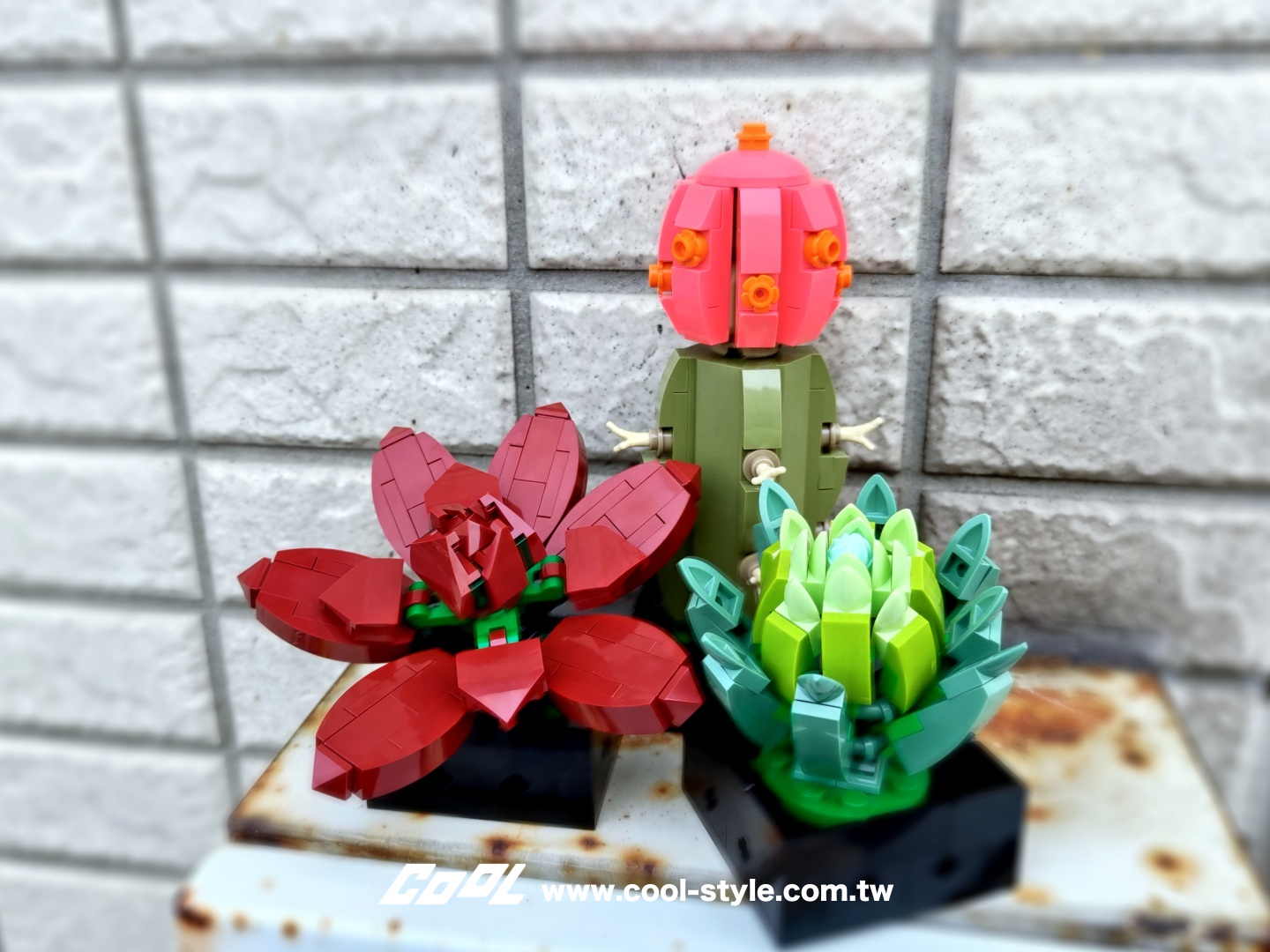 COOL開箱｜LEGO 樂高小花園加入新成員：LEGO 10309 多肉植物、LEGO 10311 蘭花 拈花惹草好療癒！#文末贈獎