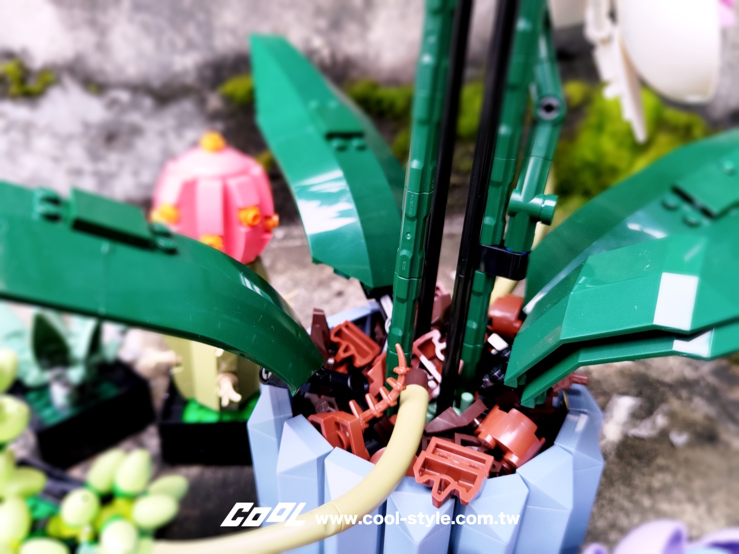 COOL開箱｜LEGO 樂高小花園加入新成員：LEGO 10309 多肉植物、LEGO 10311 蘭花 拈花惹草好療癒！#文末贈獎