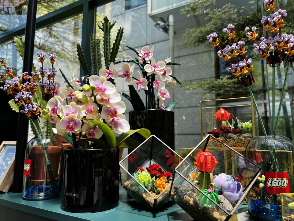樂高「植」感溫室快閃台北街頭！療癒系樂高「多肉植物」、「蘭花 」搶先看，拍照打卡 CN Flower 限定花禮帶回家