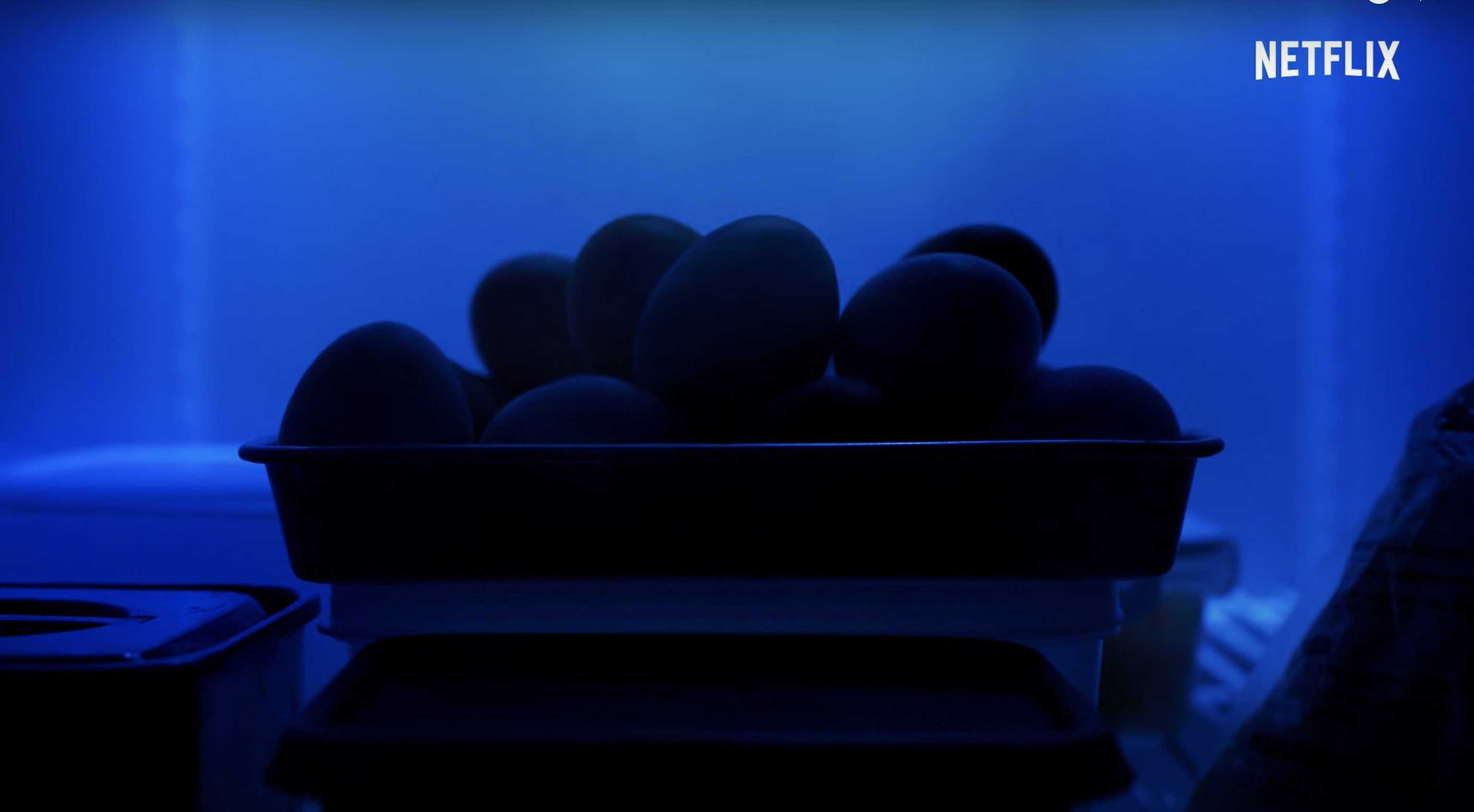 竟然看起來有點好吃？Netflix《蛋黃哥大冒險》動畫影集預計今年上架！