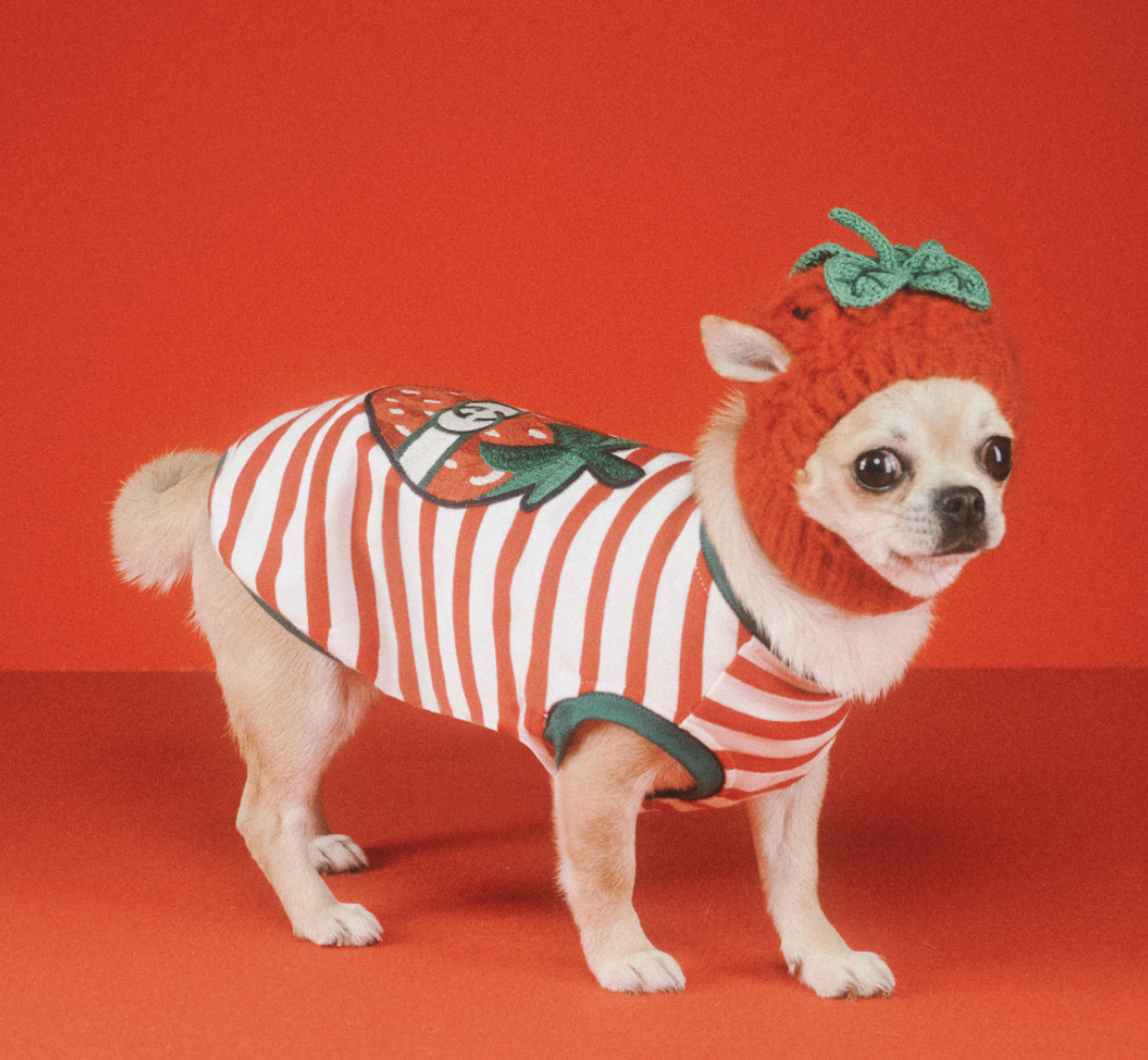 好想要變毛小孩？Gucci「Pet Collection」寵物系列用品，陪你逛街也要超有型！