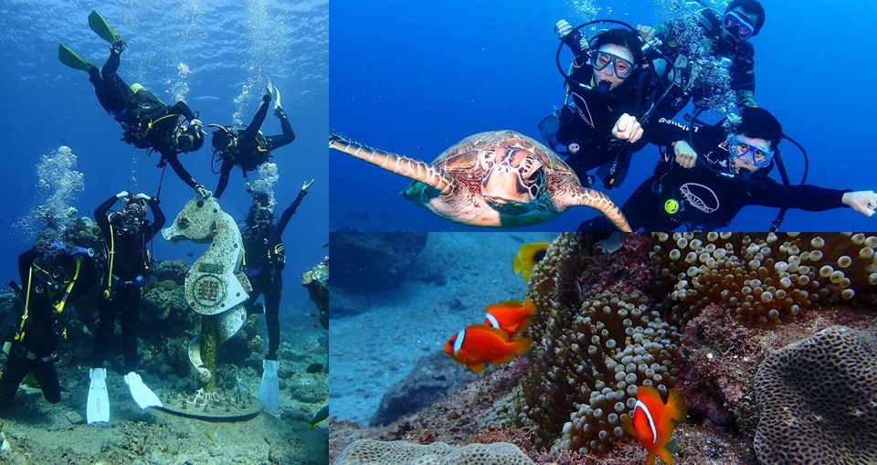 全台 5 大夢幻潛水點懶人包－澎湖、綠島、小琉球。2022 夏日揪好友一起下潛與小海龜、珊瑚礁群相遇