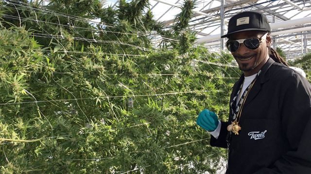 Snoop Dog 宣布專業捲大麻助理即將調薪