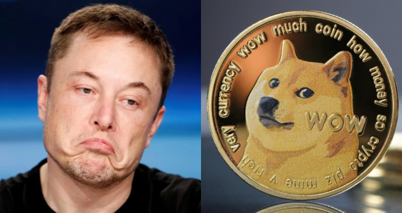 elon musk dogecoin