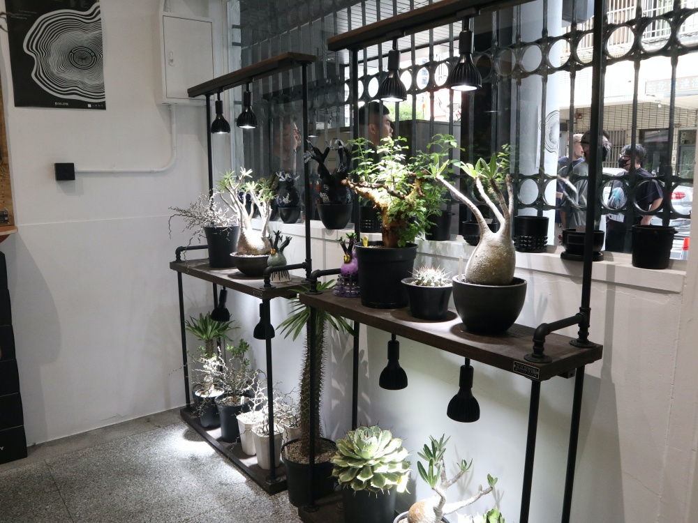 人氣設計師品牌、塊根植物一次到位！台中知名選貨單位 IJ Select 實體店鋪正式開幕！