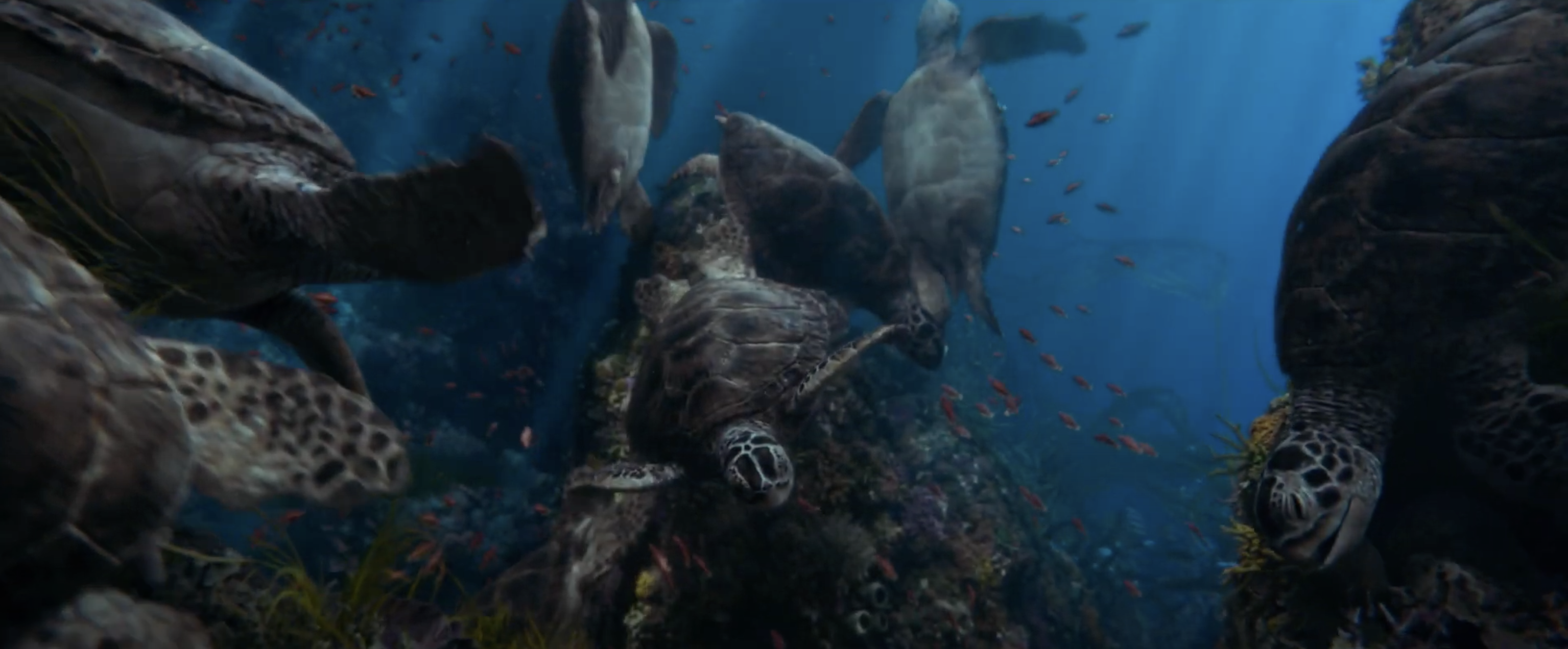 這歌聲我愛了！迪士尼《小美人魚》真人版首波預告出爐，主角 愛麗兒 正式登場！