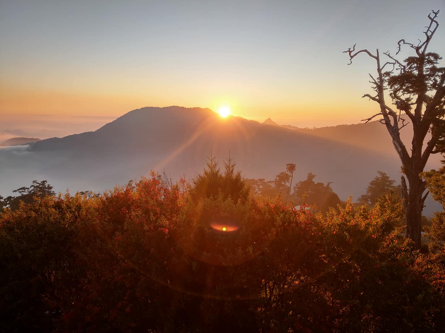 2022 台中秋季限定景點 5 選：「武陵農場」帶你一秒飛九寨溝、「落羽松祕境」太好拍