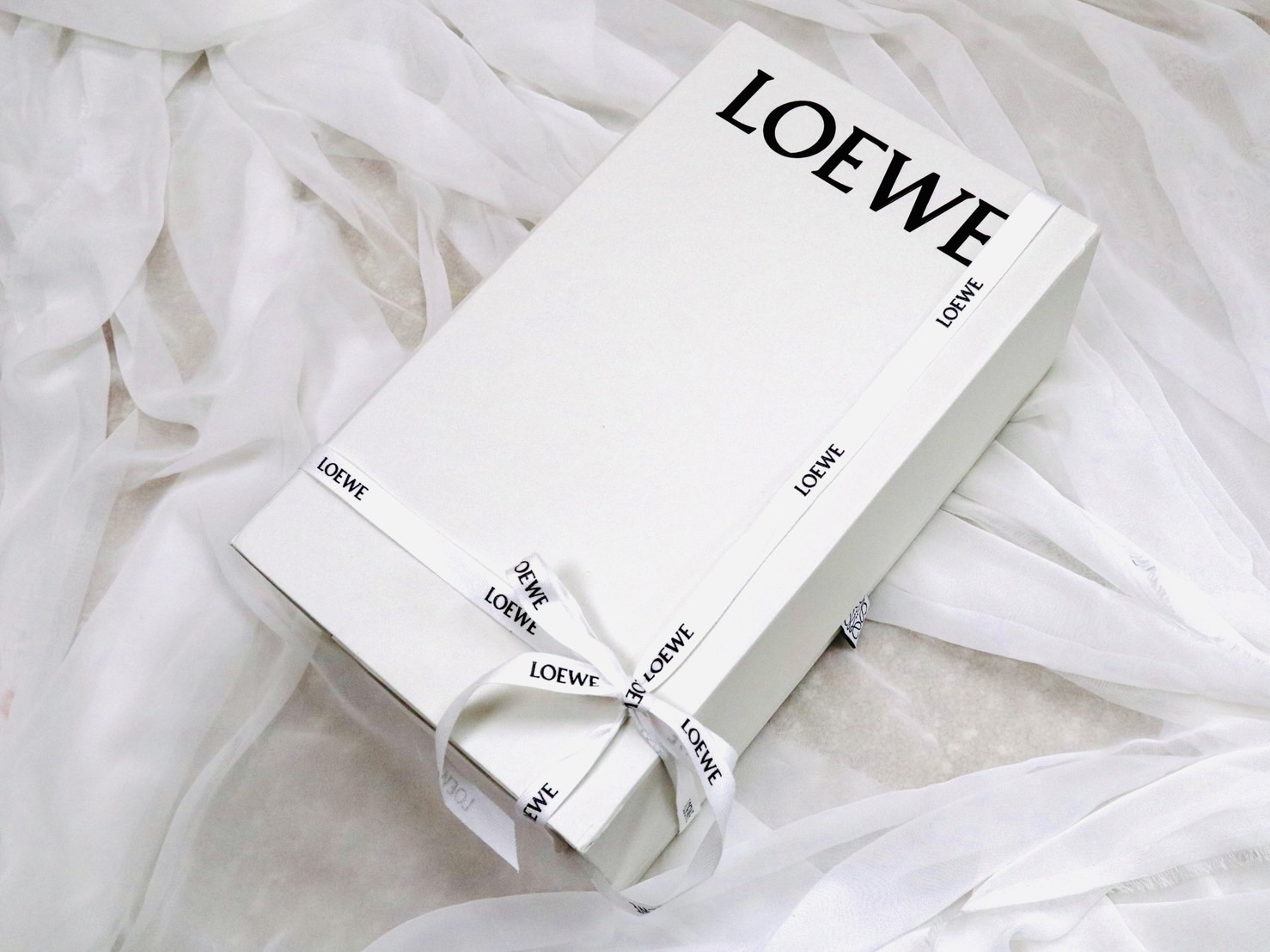 COOL 開箱｜超美緹花、背法多樣、日常外出剛剛好！細覽 LOEWE Amazona 15 包款