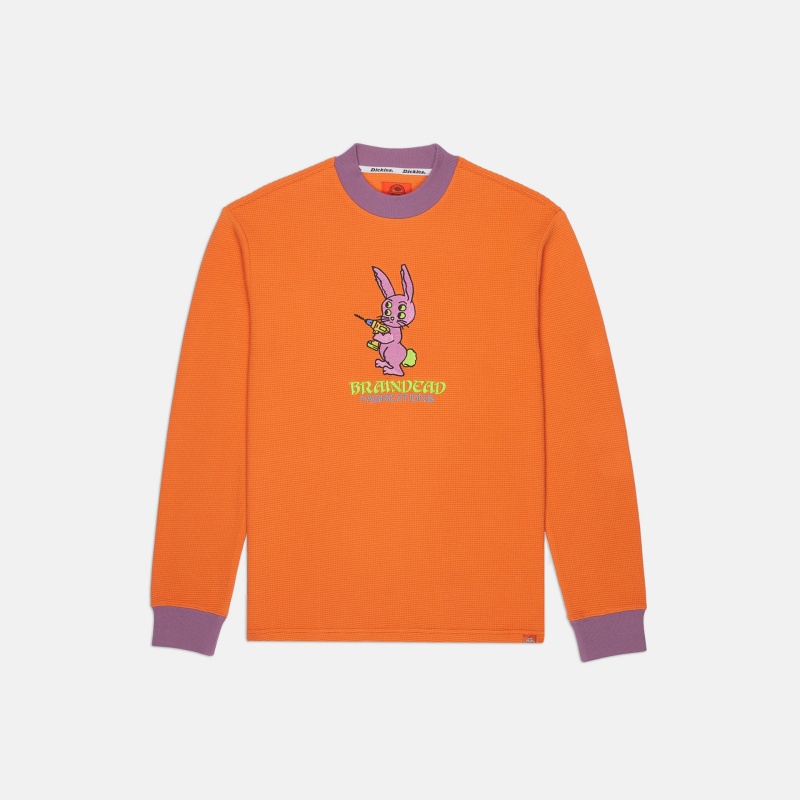 台灣販售預告｜街頭 x 工裝最頂組合！ Dickies X Brain Dead 聯乘系列全台「這裡」獨賣！