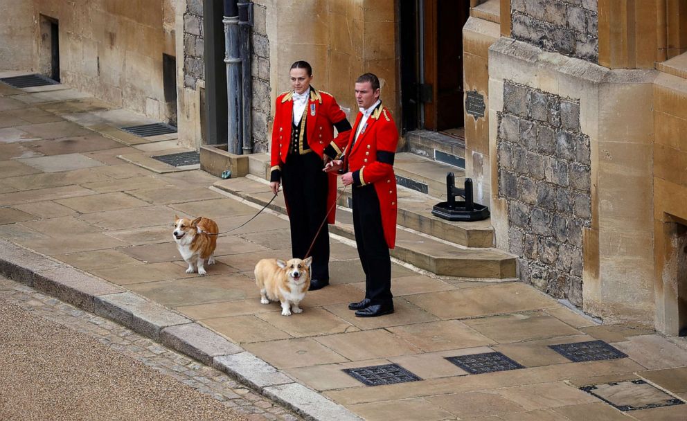 女王鍾愛的寵物柯基犬也出席了女王的葬禮