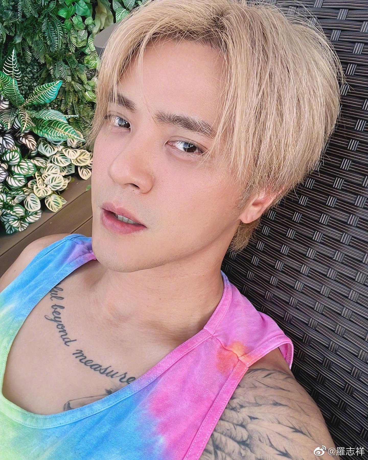 羅志祥新曲爆抄襲！ 4 處疑與 Lisa 高度雷同　粉絲外流本尊對話