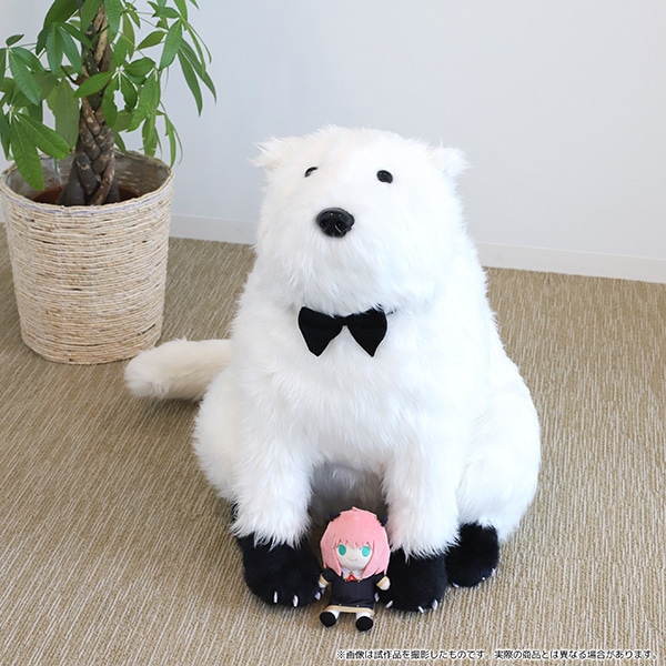 MOVIC《間諜家家酒》彭德 · 佛傑超大絨毛娃娃萌翻天！全長 66 公分 粉絲：不買對不起自己