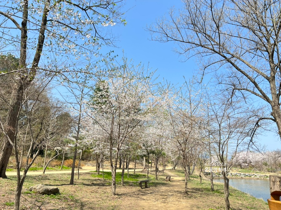 解封出國囉【2022 年版】6 個「韓劇、韓綜熱門拍攝景點」！快跟著好友一起 GET 同款場景踩點去！